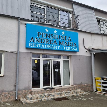 Pensiunea Andreea Hotel Giarmata Екстериор снимка