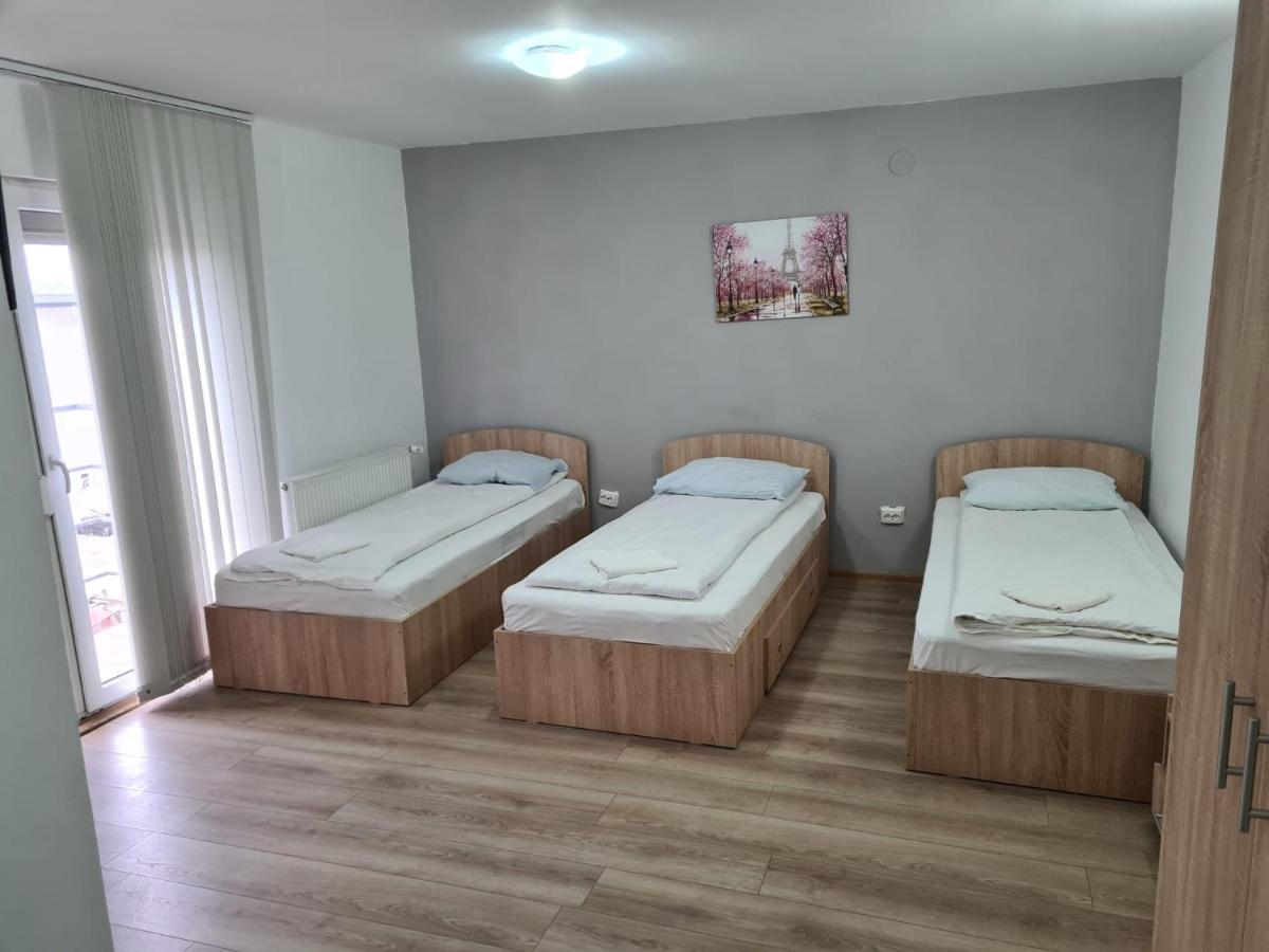 Pensiunea Andreea Hotel Giarmata Екстериор снимка