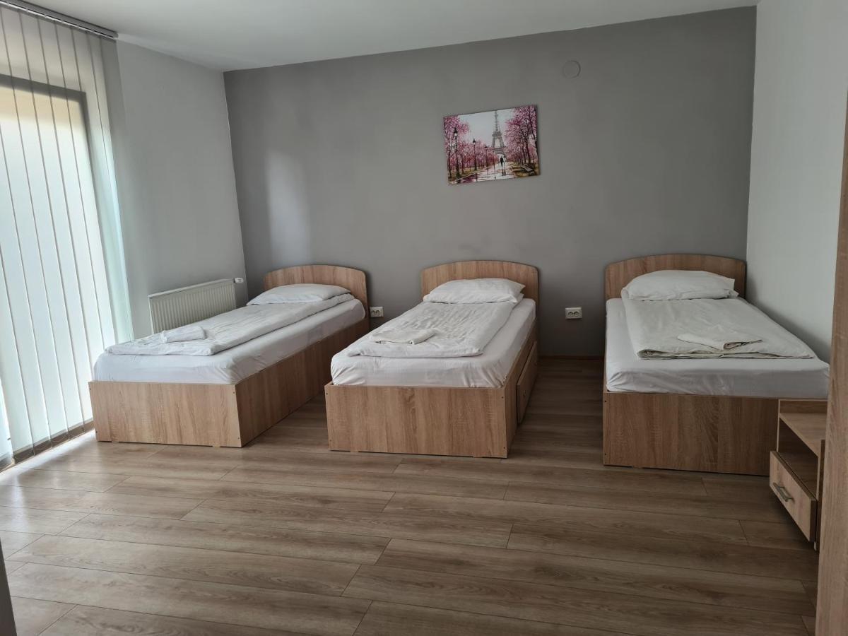 Pensiunea Andreea Hotel Giarmata Екстериор снимка