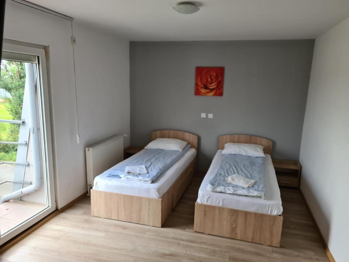 Pensiunea Andreea Hotel Giarmata Екстериор снимка